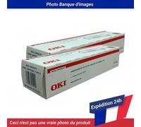 Okidata Type 9 Toner black 6k 2 Pack