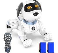 okk Chien Robot Intelligent, Nouvellement Télécommande Chien avec Chanter, Danser, Parler, Jouets éducatifs Précoces Intelligents pour 3-12 Ans Garçons Filles Cadeau de Noël d'anniversaire