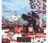 Okkervil River OKKERVIL RIVER - SILVER GYMNASIUM, THE (VINYL) (1 LP) (Vinyl)