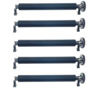 OKLILI Kit de rouleau de plateau de transfert avec bagues de roulement compatible avec imprimante de codes-barres Zebra ZD420 ZD421 ZD620 ZD621 (5 kits ZD420D ZD421D ZD620D ZD621D)