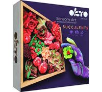 OKTO Peinture artistique créative Set Succulentes Passion