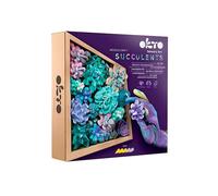 Oktoclay Tendernes Set de Peinture à Foam Mousse, 10010, Multicolor, One Size