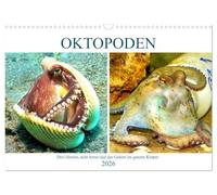 Oktopoden. Drei Herzen, acht Arme und das Gehirn im ganzen Körper (Wandkalender 2026 DIN A3 quer), CALVENDO Monatskalender: Neugierig und so bizarr, als kämen sie von einem anderen Planeten