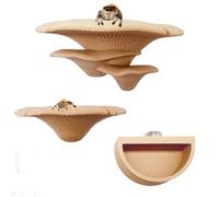 Okueejur Lot de 2 rebords magnétiques pour araignées sautantes avec aimants pour araignées sautantes, échelle pour animaux domestiques (beige)