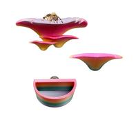 Okueejur Lot de 2 rebords magnétiques pour araignées sautantes avec aimants pour araignées sautantes, échelle pour animaux domestiques (coloré)