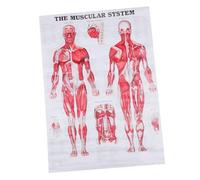 OKUMEYR Affiche Danatomie Médicale Humaine (2 Pièces)