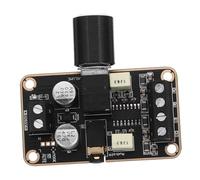 OKUMEYR Carte Amplificateur de Puissance Numérique Stéréo Double Canal pour Haut-parleurs Domestiques et Subwoofer Circuit Audio Économe en Énergie avec Protection Haut-Parleur