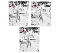 OKUMEYR Lot De 3 Pochettes à Vin Rechargeable 10 l Bec Verseur, Paquet à Boisson Réutilisables en Matériau Robuste, Polyvalents pour Voyage Et Activités De Plein Air