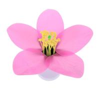 OKUMEYR Modèle Éducatif de et Expériences Scientifiques pour Cours de Fleur de Pêcher Structure de Fleur Agrandie et Branches Artificielles Légères