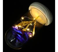 OKUMEYR Ornement de Fleur Éternelle Rose sous Dôme en Verre Bleu avec Lampe LED à Faible Consommation et Longue Durée, Décoration Romantique pour Maison ou Bureau
