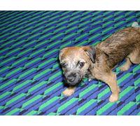 Ol Man River [12trx]