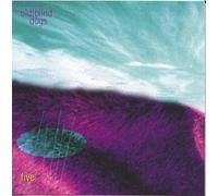 Old Blind Dogs - Five [Import]