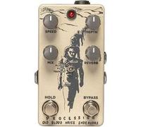 Old Blood Noise Endeavors Procession - Reverb