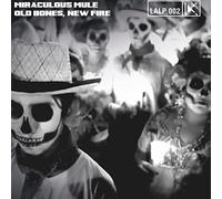 Old Bones, New Fire