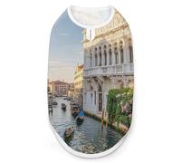 Old Buildings Chemise pour chien à séchage rapide Respirant T-shirt doux extensible sans manches Vêtements pour chien S