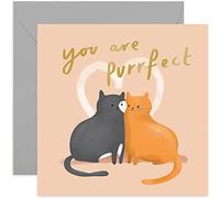 Old English Co. Carte d'anniversaire pour chat avec inscription « You Are Purrfect Cat » - Carte de vœux pour petite amie, petit ami, mari, femme - Intérieur vierge et enveloppe incluse