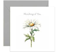Old English Co. Carte Thinking of You pour homme et femme - Carte de peinture florale marguerite camomille - Carte « Sorry For Your Loss, Condolences, Get Well Soon » pour lui ou elle | Intérieur