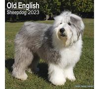 Old English Sheepdog 2023 Wall Calendar