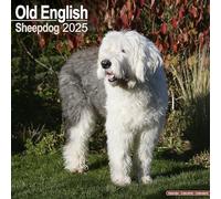 Old English Sheepdog Calendar 2025 Square Dog Breed Wall Calendar - 16 Month
