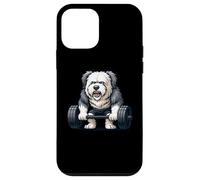 Old English Sheepdog Haltérophilie Bodybuilder Entraînement Gym Coque pour iPhone 12 Mini
