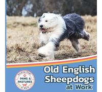 Old English Sheepdogs At Work