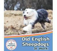Old English Sheepdogs At Work