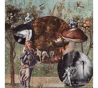 Native Harrow – Old Kind of Magic – CD