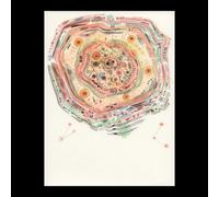 Old Million Eye - Quartz Hive [Vinyl Lp]