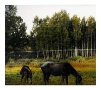 Pianos Become the Teeth - Old Pride