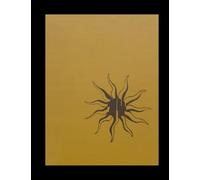 Old Saybrook High School - 1974 Yearbook | Official Classmates® Premium Reprint | Authentic Archival Edition | Softcover