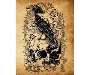 Old Style Raven on Skull with Roses Sketchbook - White Color Interior Sketch Pages for Art - Sketch Pages Numbered: This Sketch Book (Sketchbook) is a ... doodling, writing, and brainstorming.