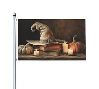 Old Witch's Hat and Magic Books Yard House Drapeaux de 91 x 152 cm avec œillets Décoration d'intérieur ou d'extérieur