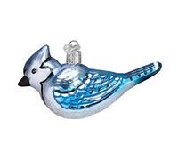 Old World Christmas Bird Watcher Collection Glass Blown Ornaments for Christmas Tree Bright Blue 2.0 Verre Jay Bleu Clair 4 x 4