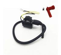 OLDDO Bobine d'allumage Hors-Bord adaptée au système d'allumage électrique Nissan 61A-85570-00-00 1997-2005 40-50 120-140hp NS40DS