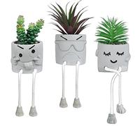 OLEEK Jolie décoration de Bureau - Fausse Plante pour décoration de Bureau - Petites Plantes pour décoration de Bureau - Décorations de Bureau pour Femme - Plantes succulentes pour décoration de