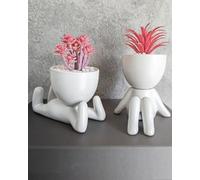 OLEEK Petites Plantes artificielles pour décoration d'étagère - Cadeau Rose - Décoration de Bureau Mignonne pour Femme - Décorations de Bureau pour Femmes - Décorations de Bureau pour Femme - Plantes