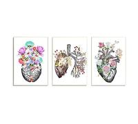 OLGKJ Anatomique Organe Vintage Affiche Anatomie Humaine Peinture Cerveau Coeur Poumon Anatomie Affiche Murale Art Tableaux MéDical Chambre Decoration sans Cadre