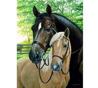 OLGKJ Deux Chevaux Animal DIY Peinture à l'huile par NuméRo pour La Decoration IntéRieure Coloriage par NuméRos Cadeaux Faits à La Main pour Adultes Et Enfants 40x50 Cm sans Cadre