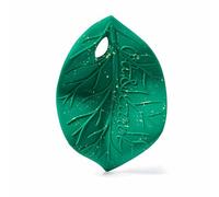 Oli & Carol - Anneau de dentition pour bébé en caoutchouc naturel - Cadeau pour bébé 0 3 6 mois, 1 an - Feuille de Chlorophylle