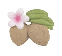 Oli & Carol - Jouet de dentition pour bébé en caoutchouc naturel, Aly the Almond, 9 cm