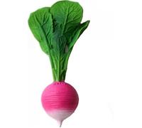 OLI et CAROL Anneau de dentition Jouet de bain Radis Ramona