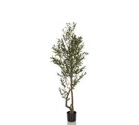 OLIVE I - Plante artificielle Vert
