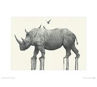 Oliver Flores (Majestic Rhinoceros 30 x 40 cm Toile Imprimée