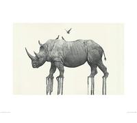 Oliver Flores (Majestic Rhinoceros 60 x 80 cm Toile Imprimée