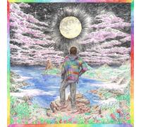 OLIVER KOLETZKI - TRIP TO SANITY (3LP) 3 VINYL LP NEUF