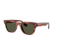 Oliver Peoples Unisex Sunglass OV5601SU Rueny - Couleur du Monture: Écaille de tortue koala, Couleur de Lentille: G-15