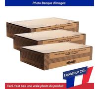 Olivetti D-copia 25, 35 Toner Black Pack Of 3