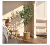 Olivier artificiel 145 cm, Plante décorative avec Feuilles et Olives réalistes pour salon, chambre ou bureau