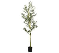 Olivier artificiel avec 800 feuilles et 32 olives - 200 cm de haut - Arbre artificiel vert avec tronc en bois de frêne et pot en polyéthylène - Décoration facile d'entretien pour salon, bureau, balcon