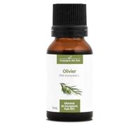 Olivier BIO - 15mL - (Olea Europaea) - Macérat concentré de bourgeons frais